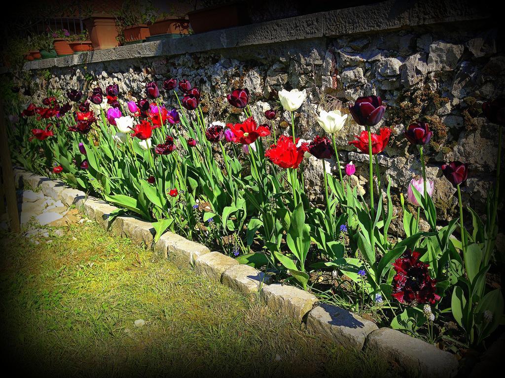 Agriturismo Borgovecchio Romans d'Isonzo ภายนอก รูปภาพ